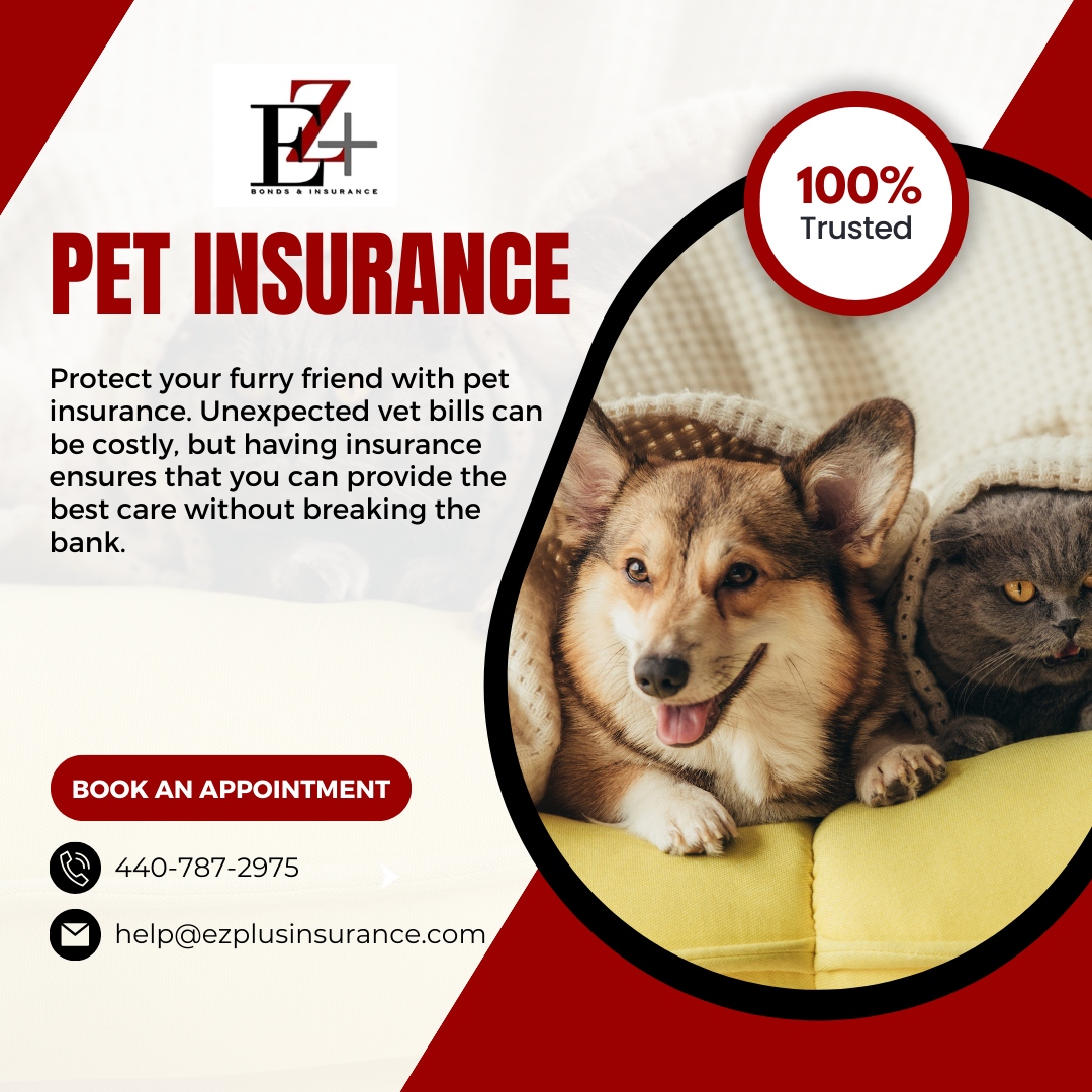 Ez Bonds Plus Insurance | Lorain OH