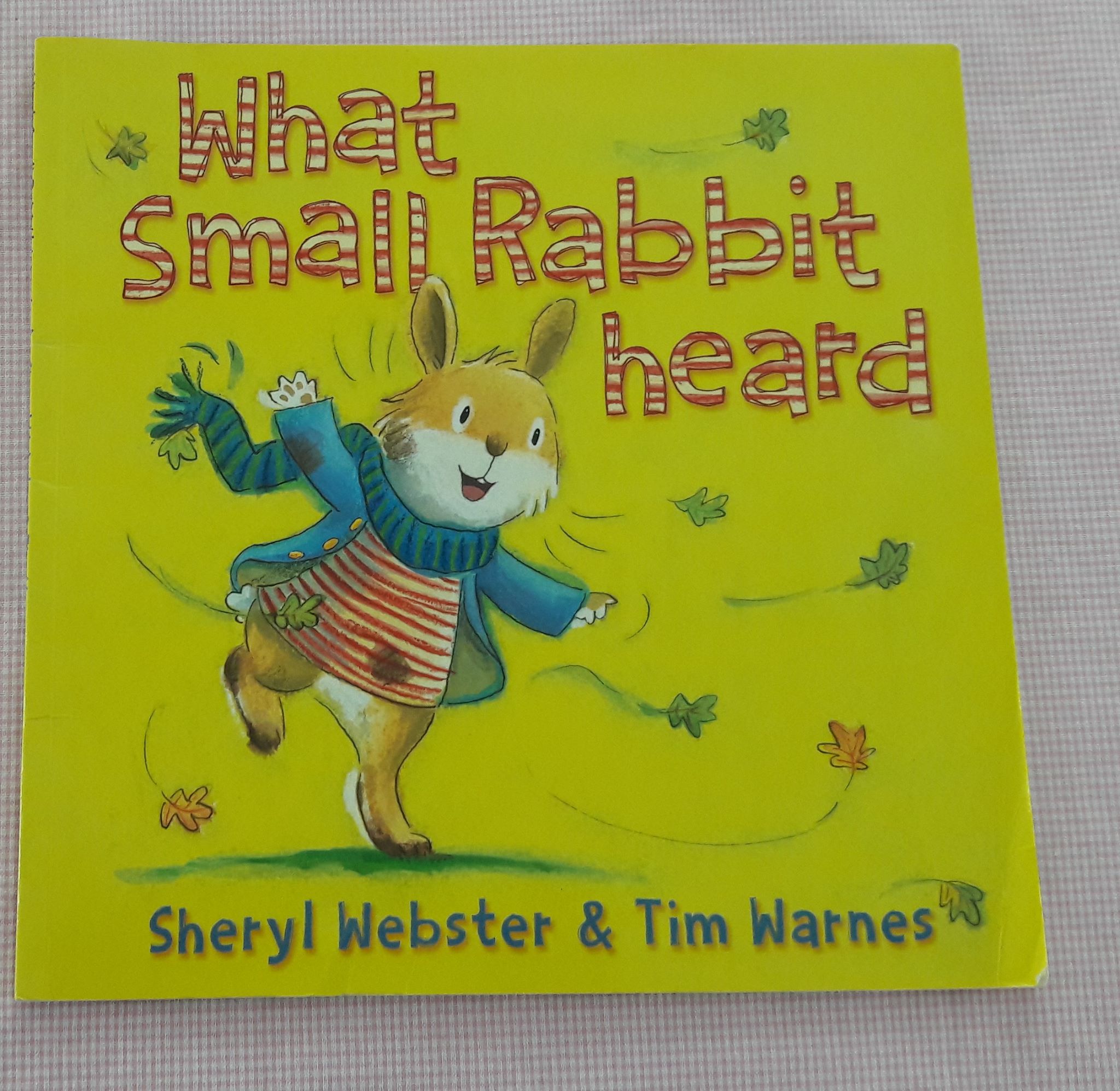 Bookmaemaru - What Small Rabbit Heard ขนาด 10 x 9.8 x 0.2... | Facebook