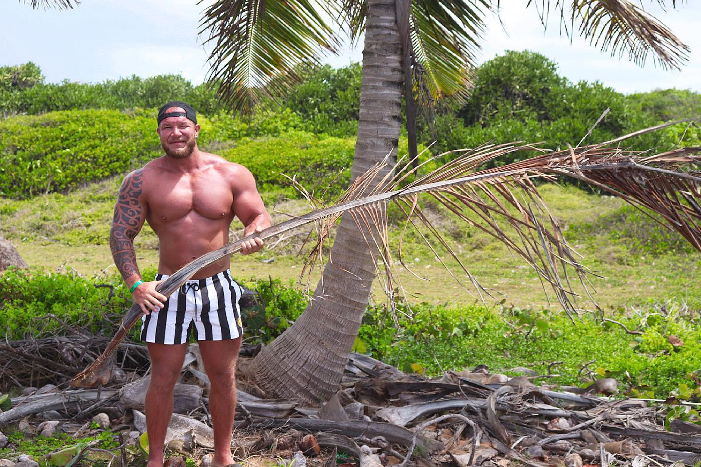 Einen von der Palme wedeln 🌴) Wen soll ich mal kühle Luft zu wedeln ? 😅 Spaß… so langsam bin ich wieder urlaubsreif haha, ich wünsche euch einen schönen Dienstag 💪🏾