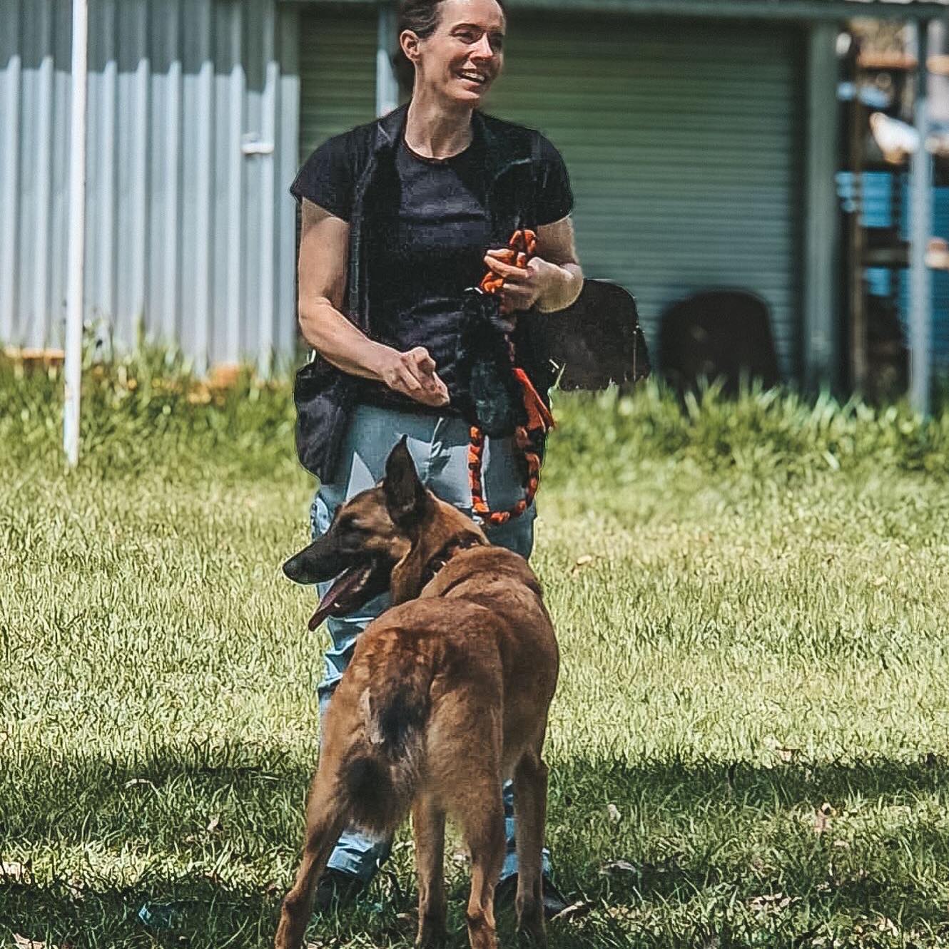 ⚠️ Nosework isn’t just a fun game. It’s a confidence builder, and there ...