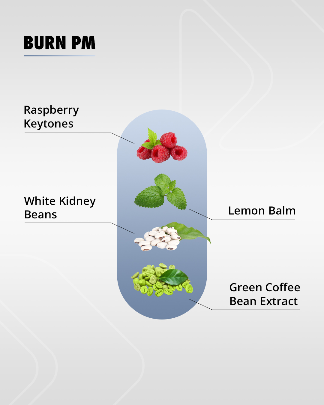 Sculpt Nation - Meet the key players found in BURN PM💤... | Facebook
