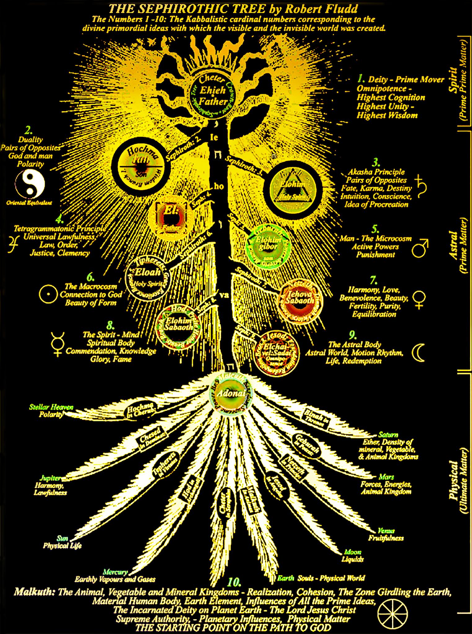 Mac - The Spine is a flexible column consisting of 33 segments or ...