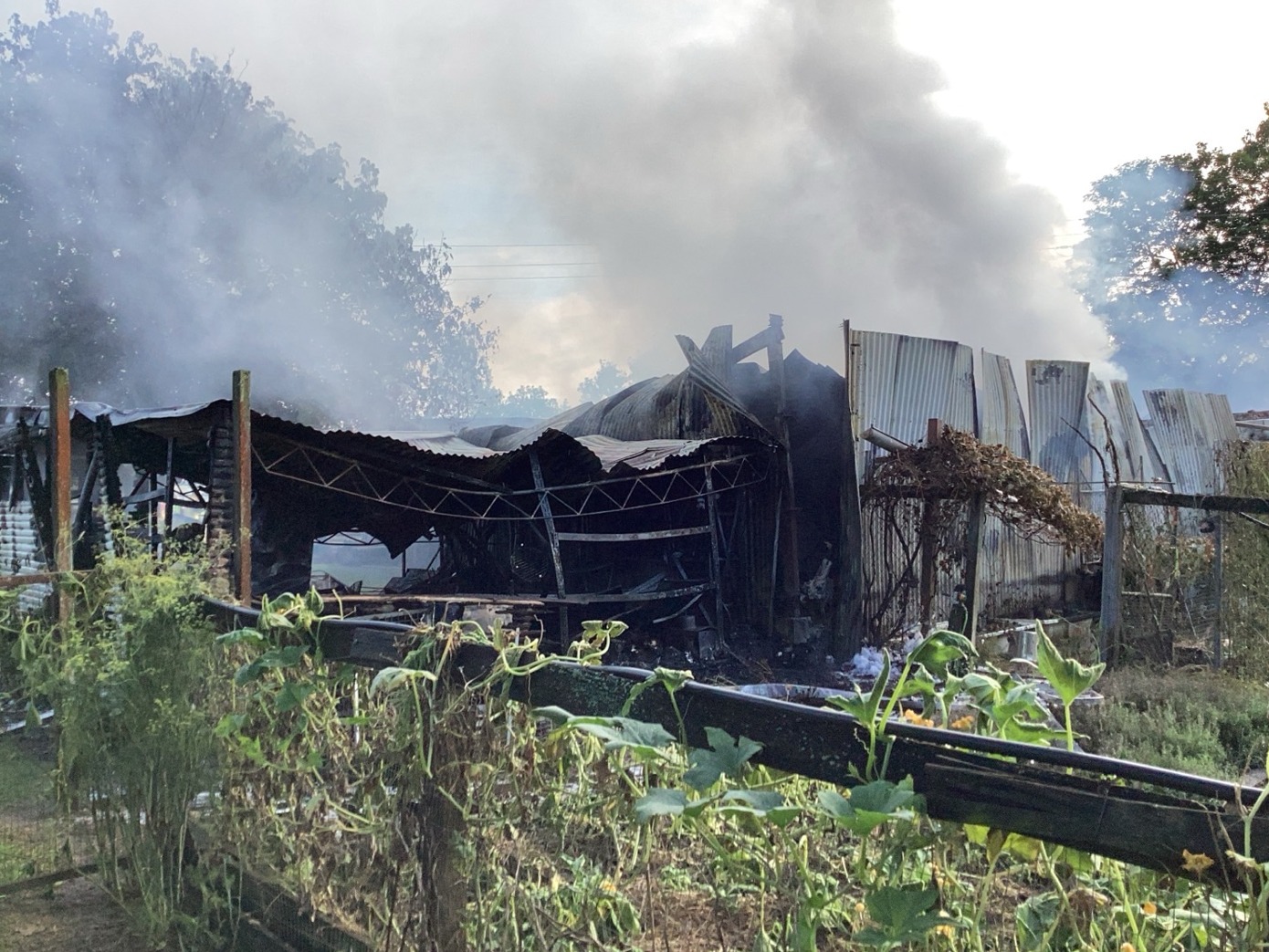 NSW - Crews work to extinguish a shed fire in Cobbitty in Sydney's ...