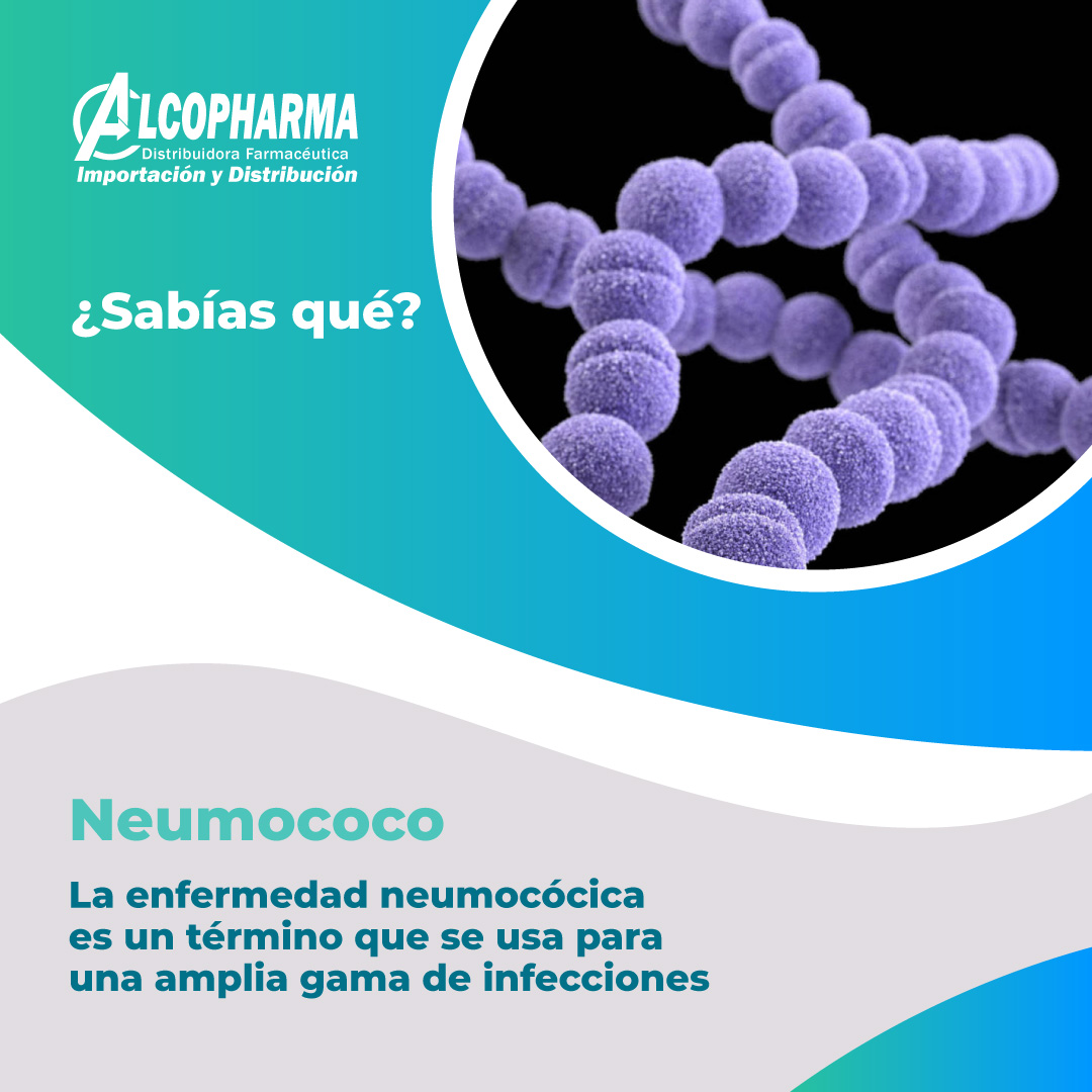Alcopharma - Que provoca el neumococo?.... 😱 Neumonía...