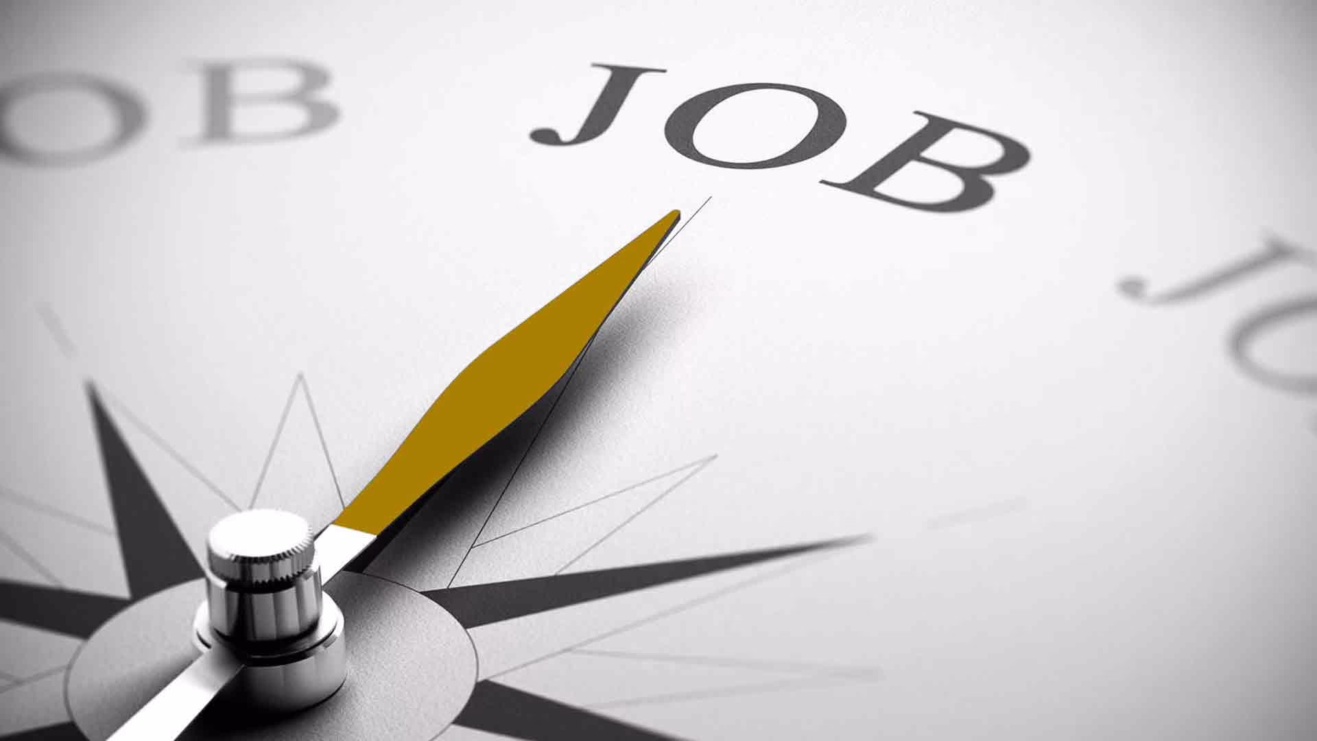 CERCO / OFFRO LAVORO VERSILIA , VIAREGGIO E ZONE LIMITROFE !!!!! | Facebook