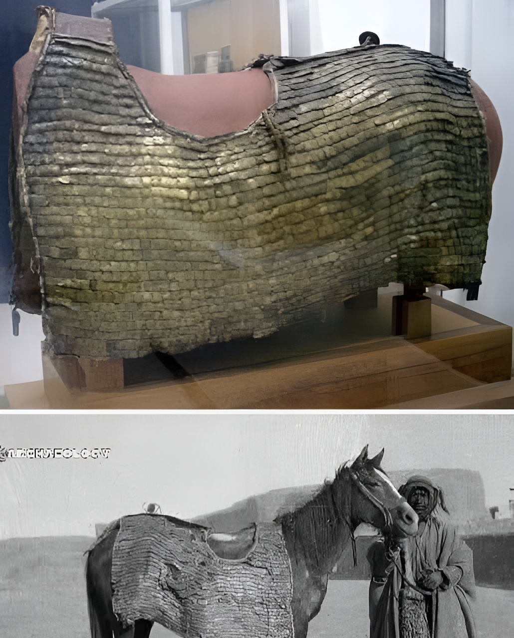 Mamta - This 3rd-century AD Roman horse armor, composed of ...