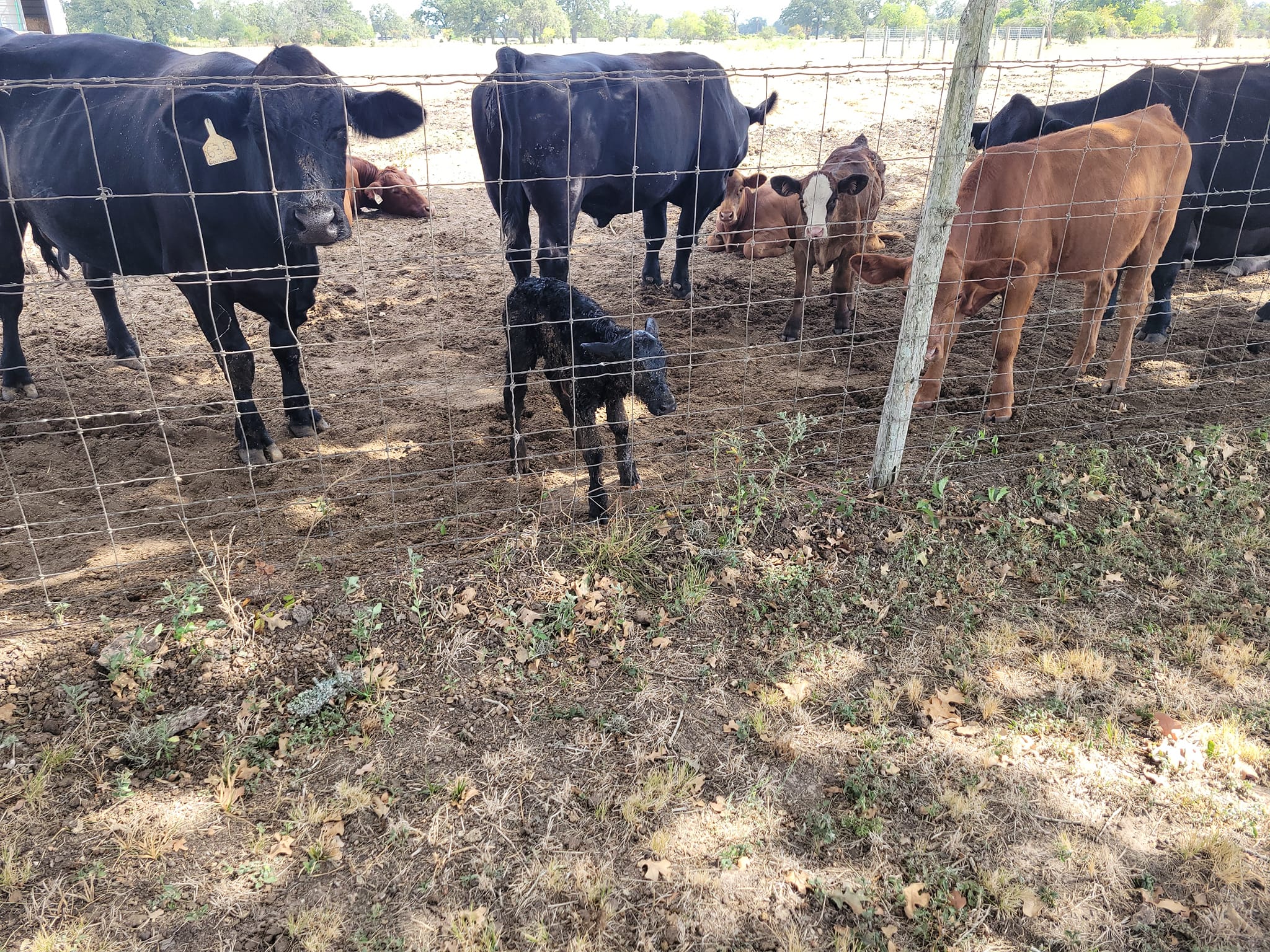 Barn and Farm Professional Services