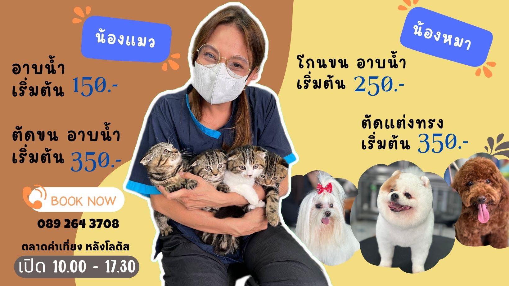 JB Rabbit... - JB Rabbit ฟารม์กระต่ายเชียงใหม่