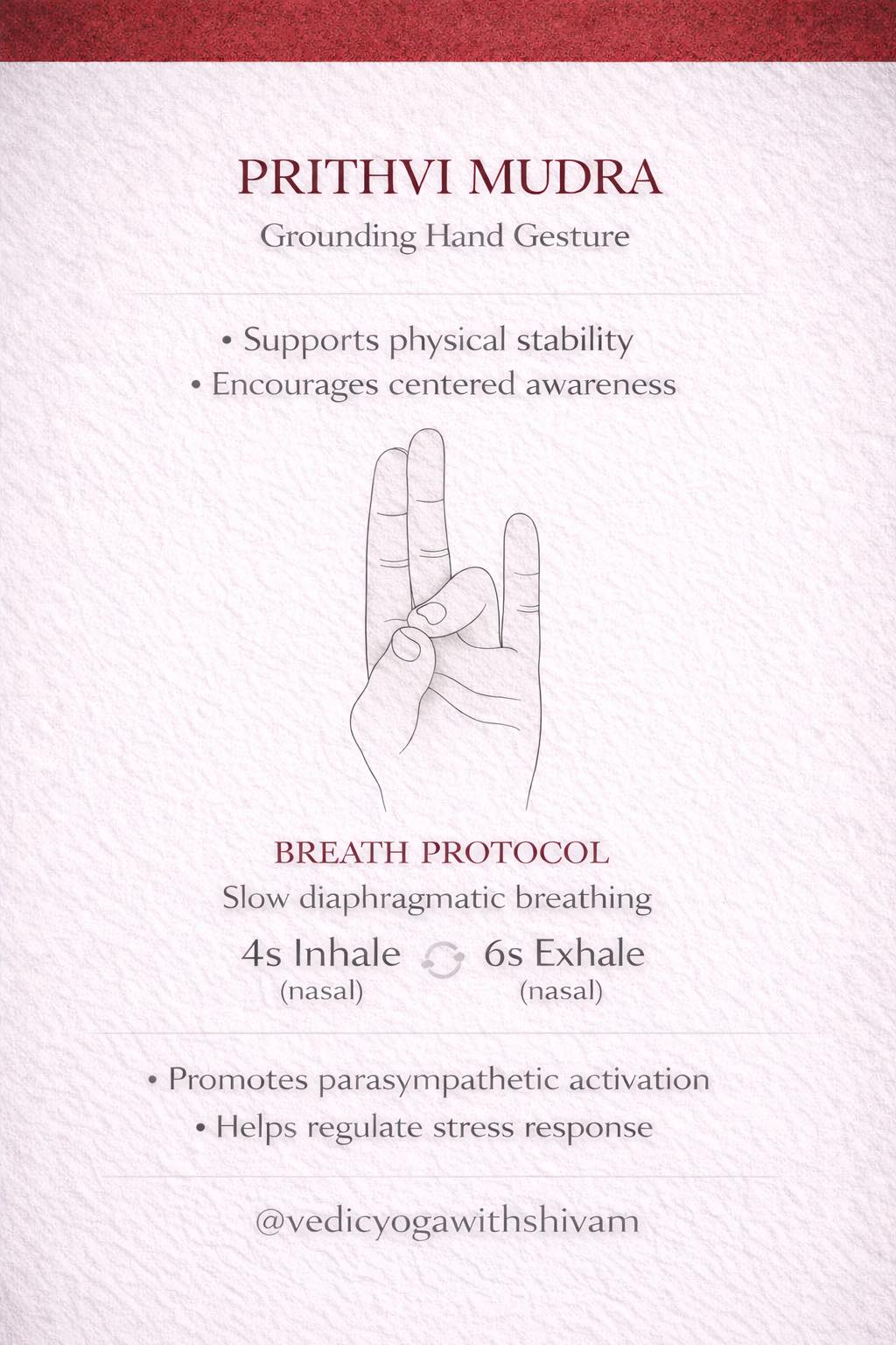 Vedicyoga - Stability is not a concept. It is a nervous system state ...