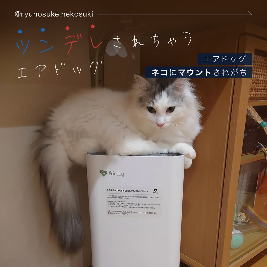お 役に立て れ ば 幸い です