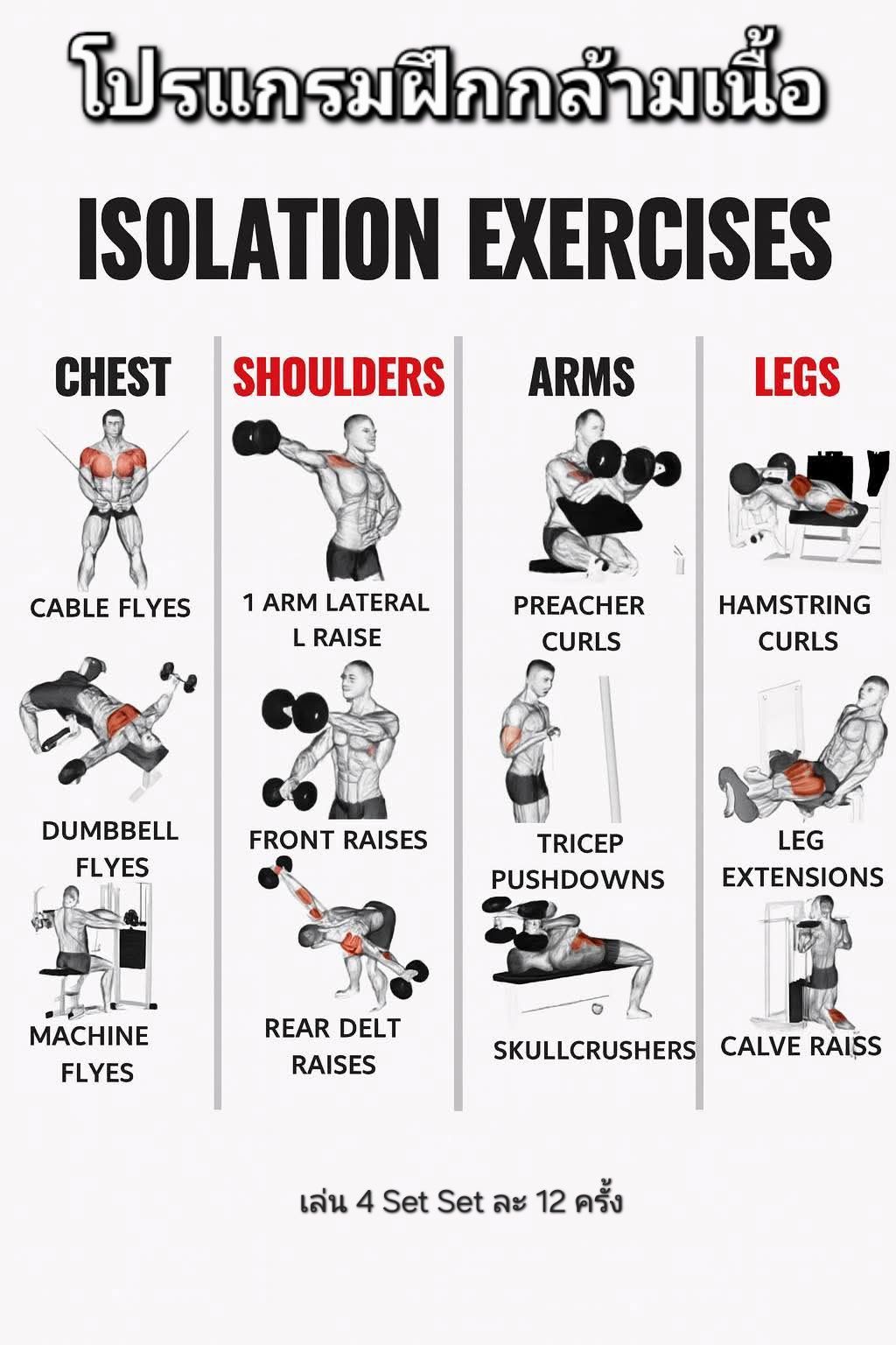 เทรนเนอร์ - โปรแกรมฝึกกล้ามเนื้อแบบ Isolation Exercises 😊 ️ 1. Chest ...