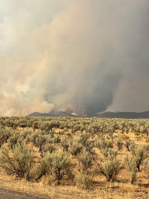 City of Elko Fire... - City of Elko Fire Department