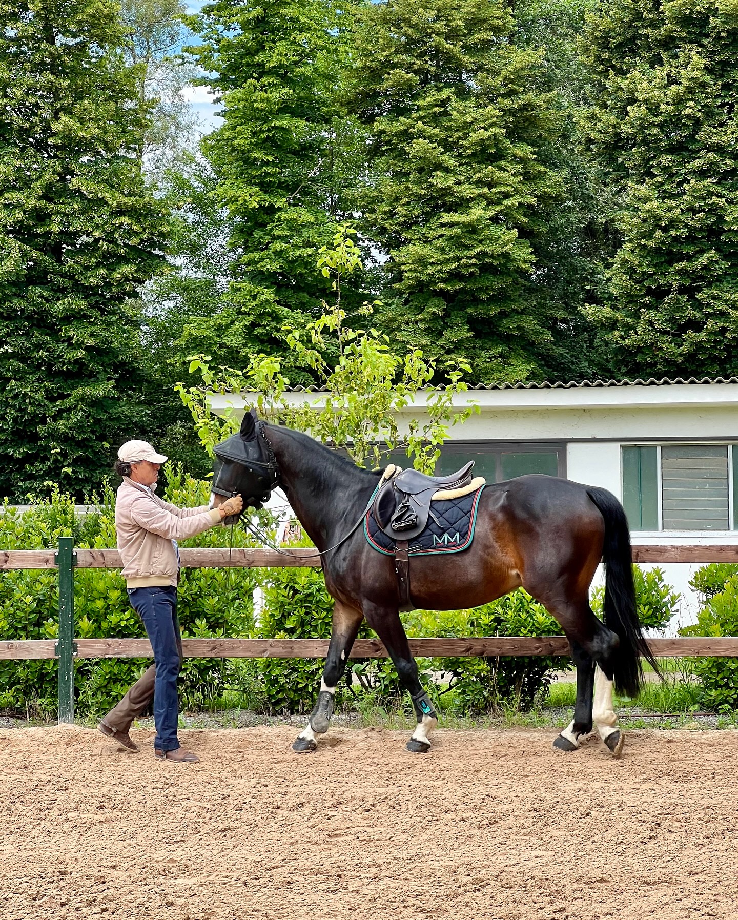 Equus Academy