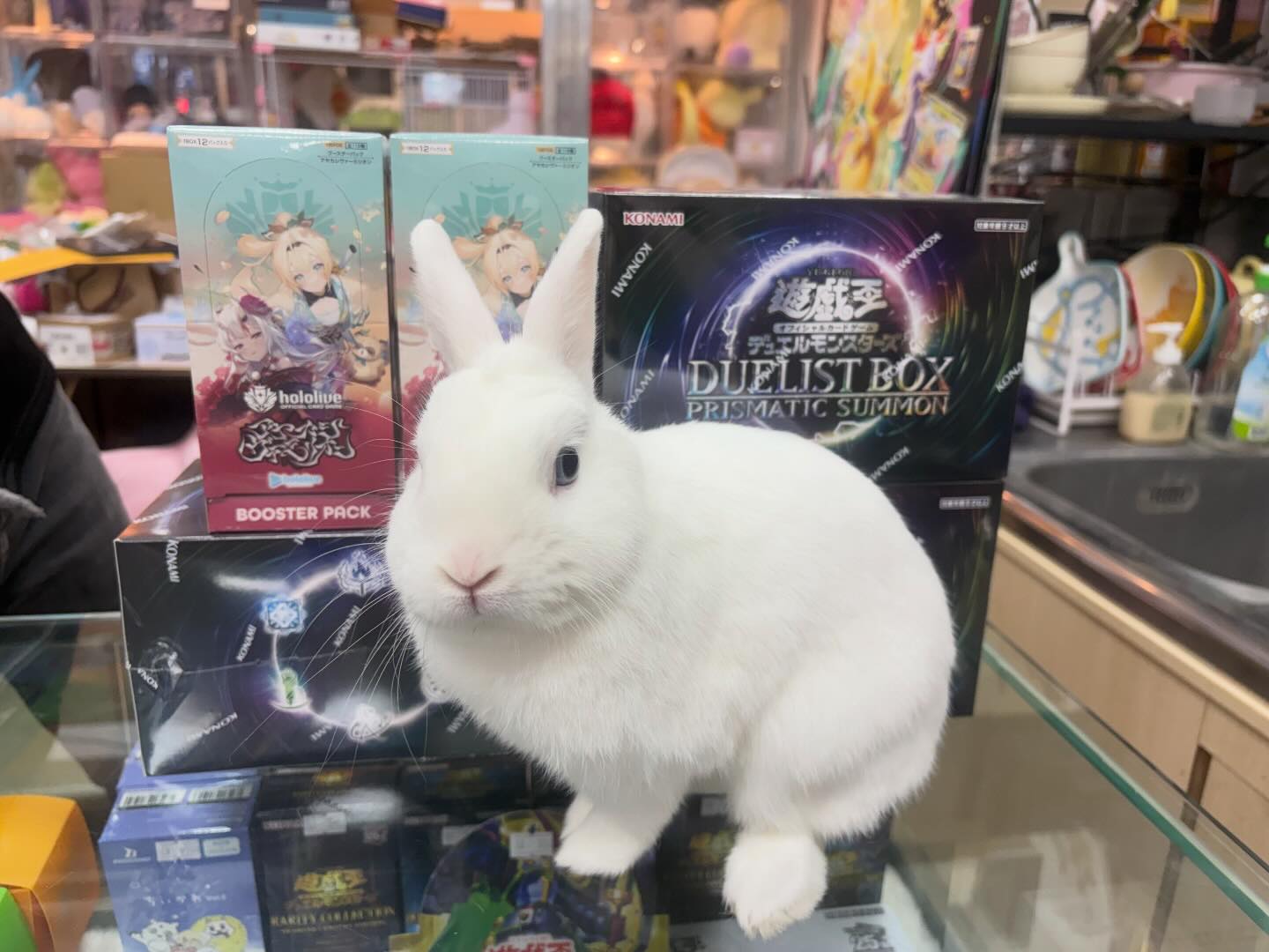 兔屋 TCG - 新品發售 遊戲王 聖誕禮盒 & Hololive TCG 第六彈 🐰Yuki推薦 盯著你來👀 | Facebook