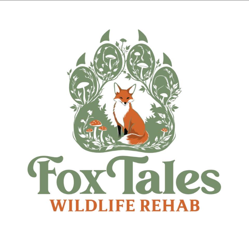 Foxes are built for speed and can reach up to 42 mph. They have long ...