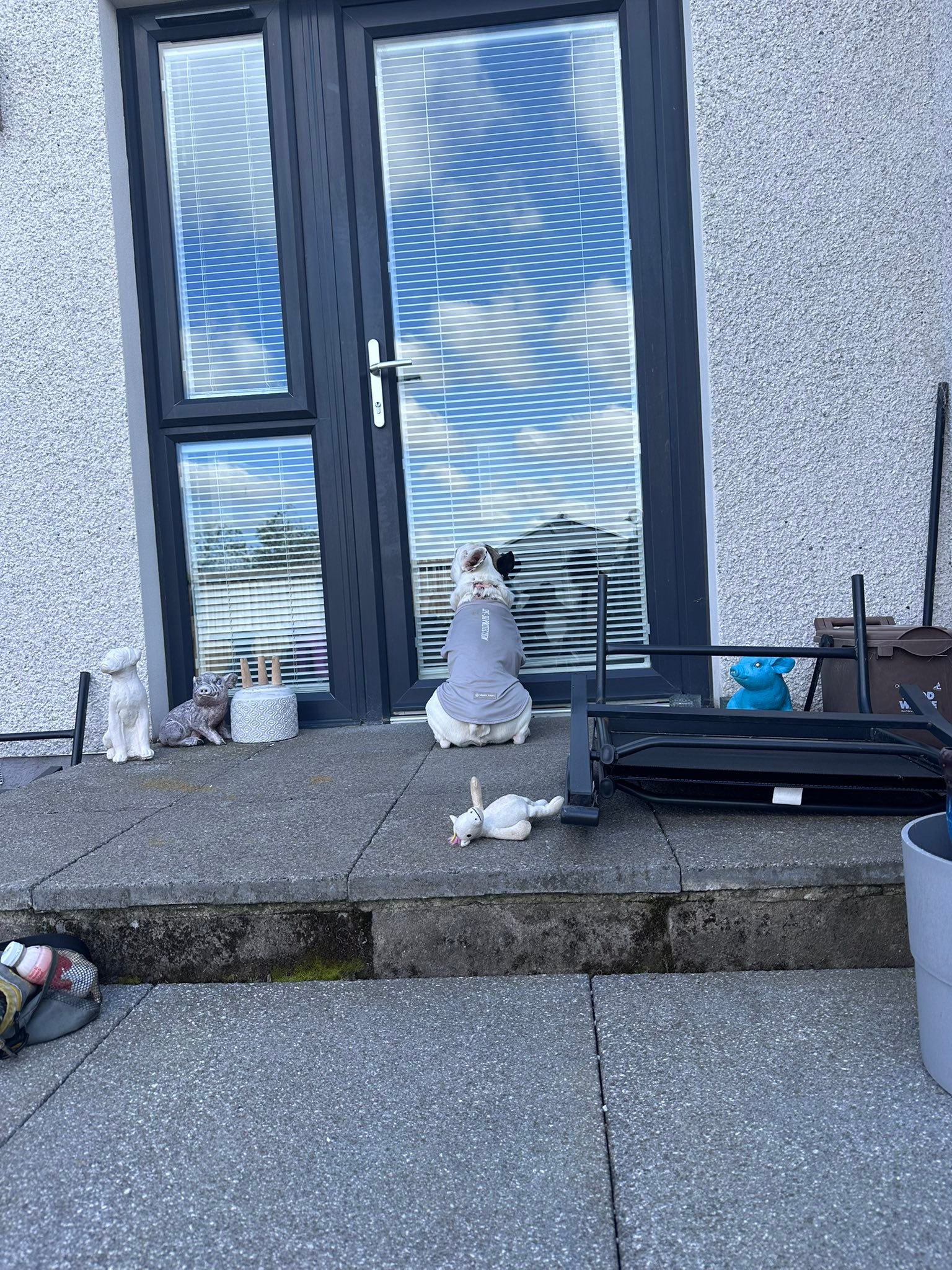 Watson's Walks | Forfar