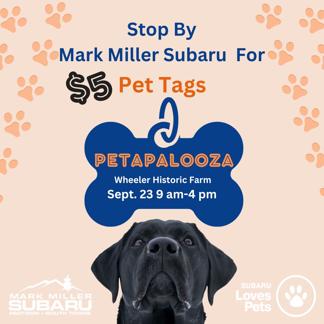 Suba - 🐾 Join us tomorrow at Salt Lake County Animal Services ...