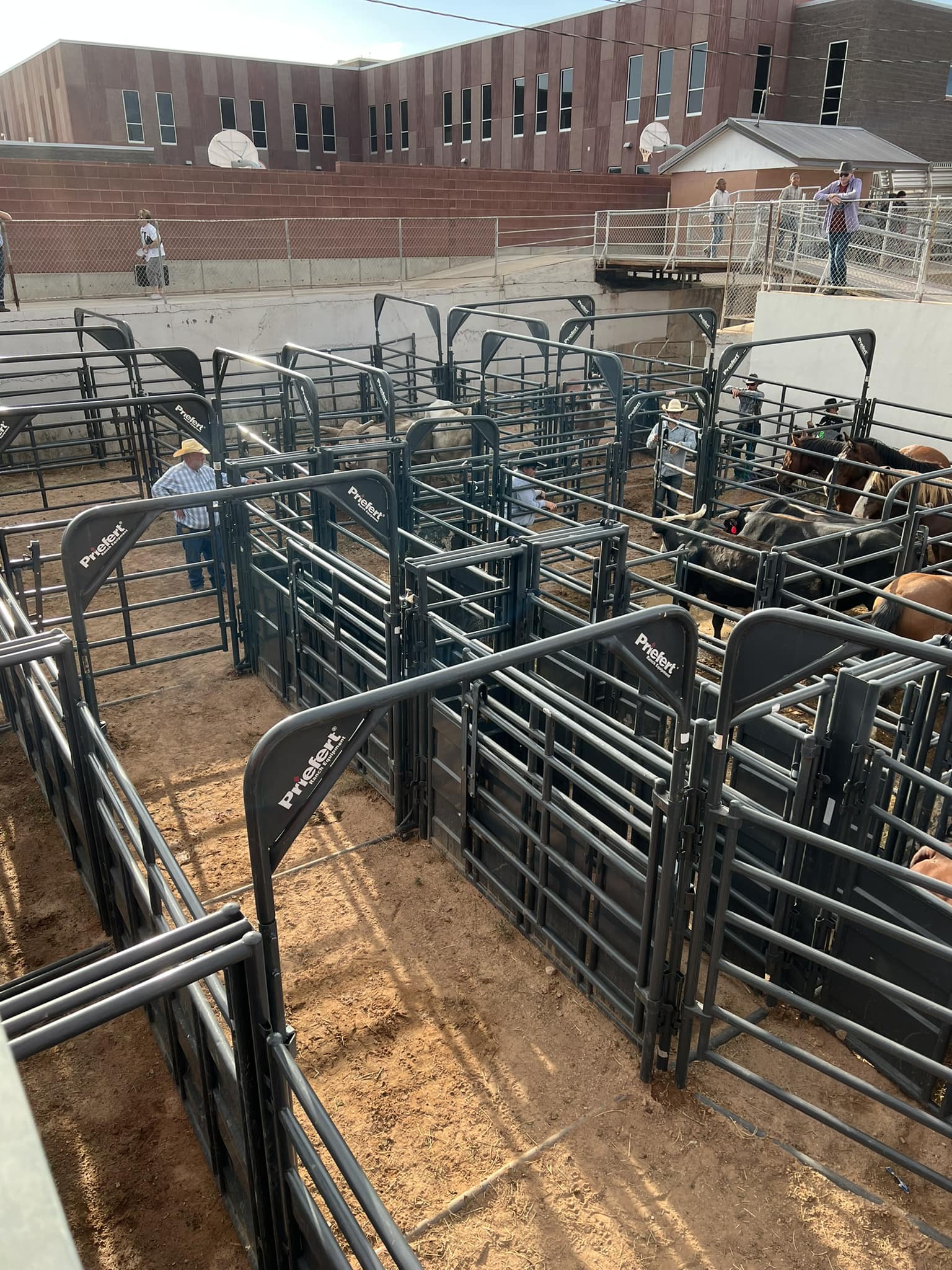 Our 3rd Annual Spring Round-Up... - Spring Roundup Rodeo