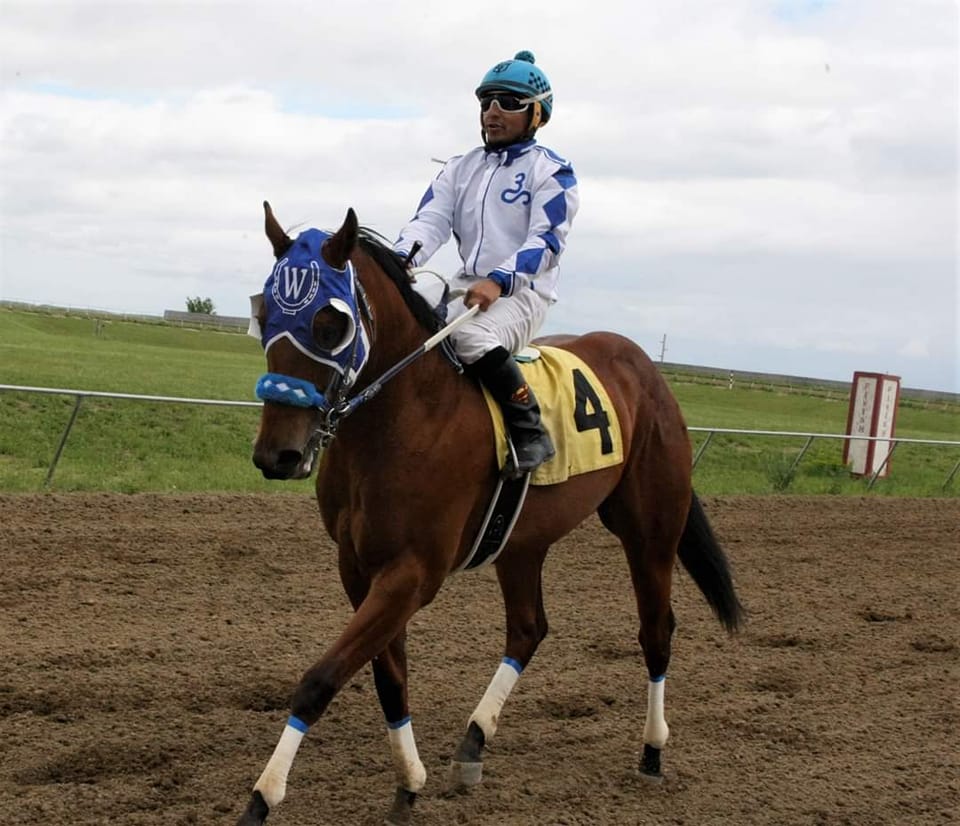 Wilson Racing Stables | Dunseith ND