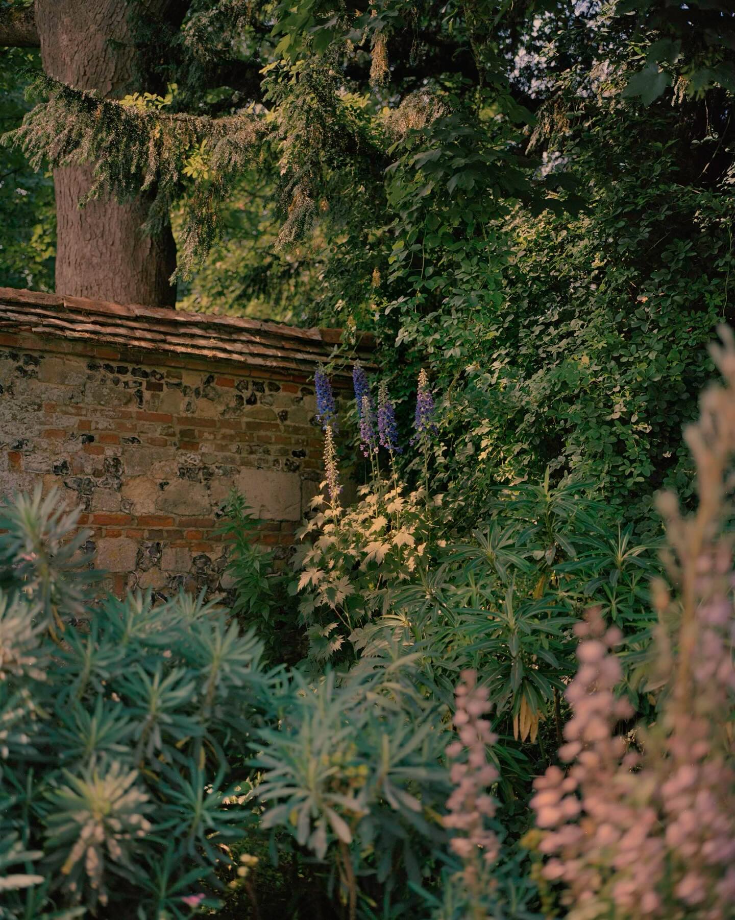 Tom Roe Photography