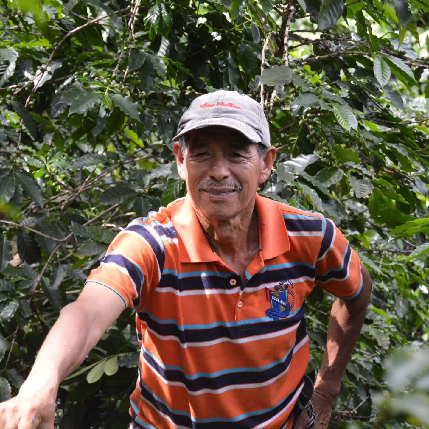 Café Pacas