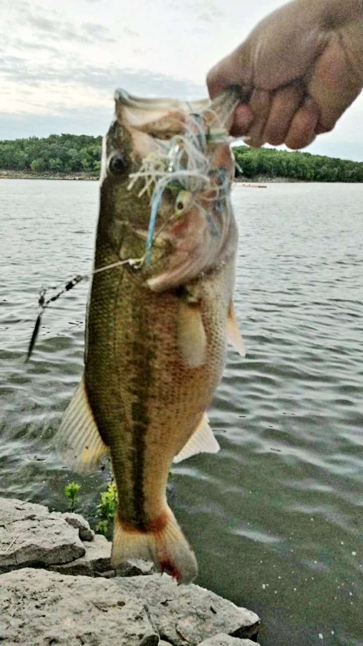 bass lures booyah Moon Talker Spinnerbait Each bait also houses Trolling Reel Model:PR-6500BLUCAMO2 Rebel Minnow Bass