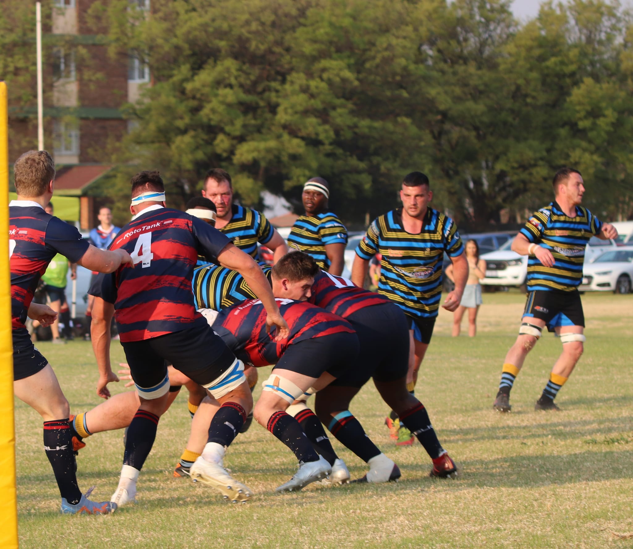 Springs Rugby Klub 2023