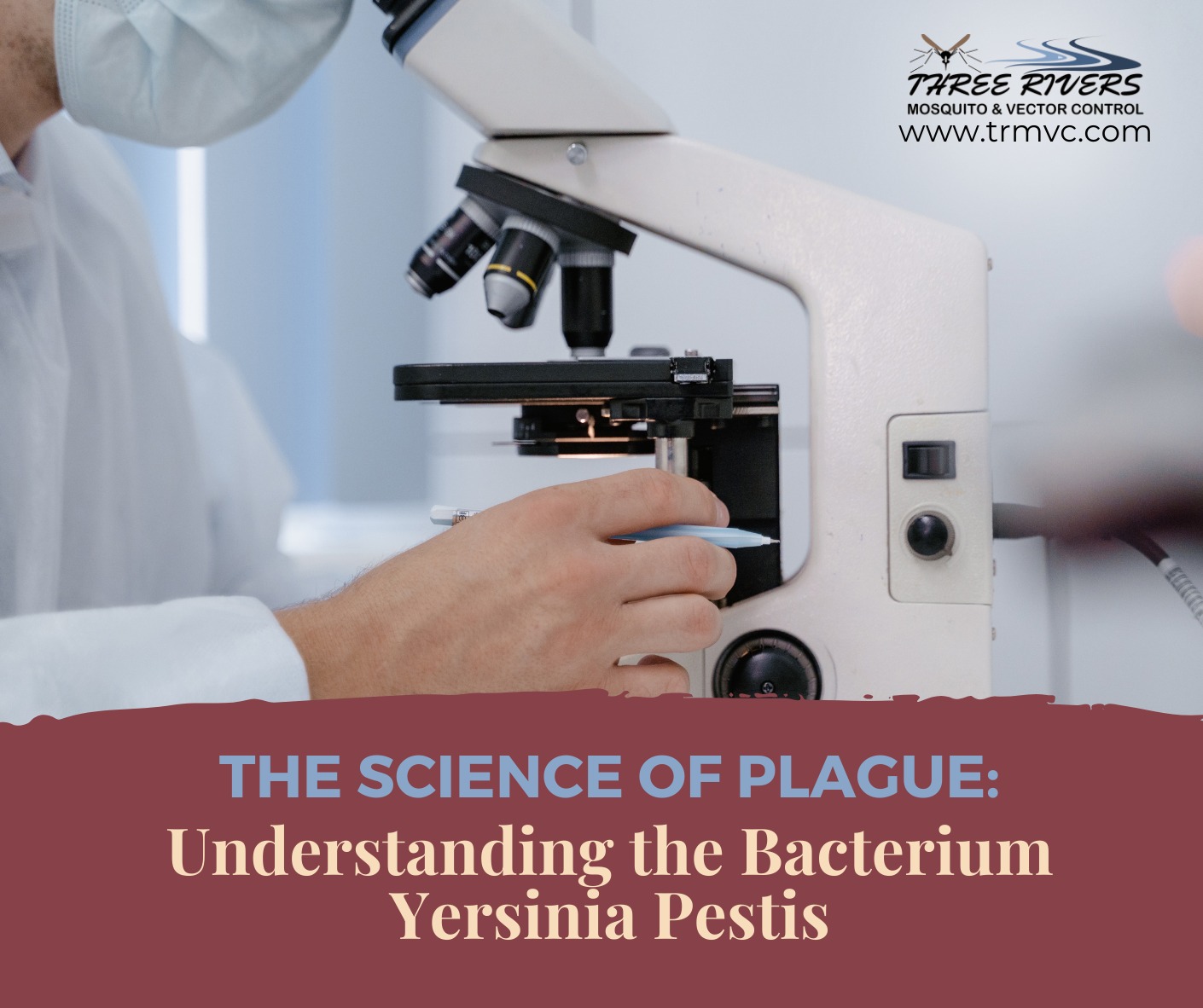 Three - Ever wondered about the science behind the infamous plague? Let ...