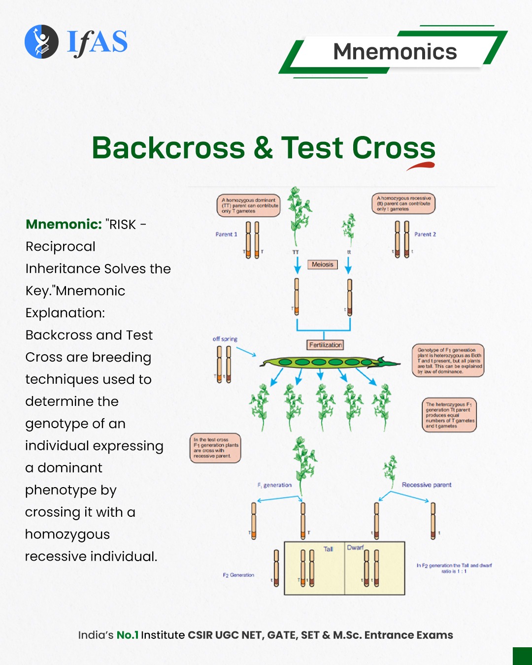 Life - 🧬 Explore the fascinating world of genetics with IFAS Mnemonics ...
