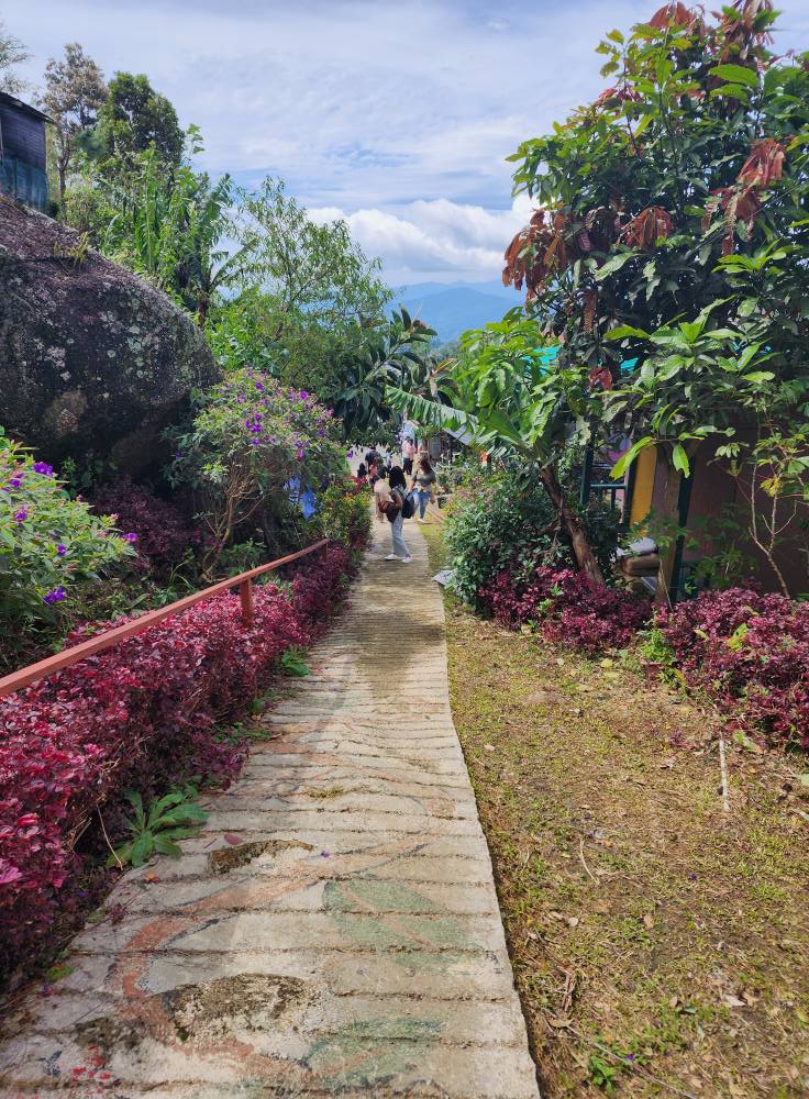 D'mesilau Rabbit Garden | Kundasang