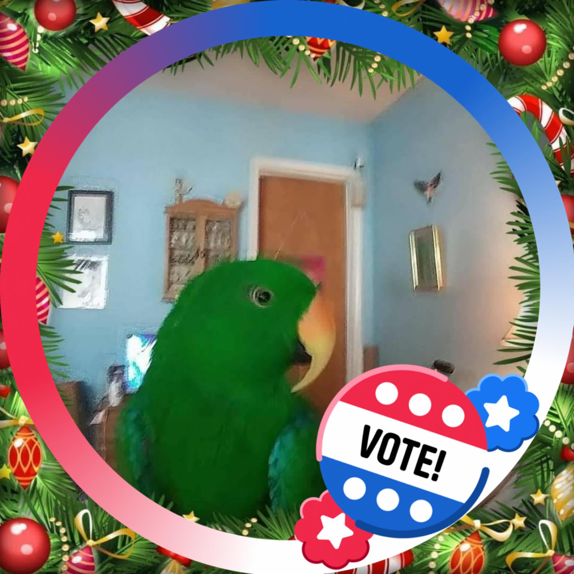 ️💚🦜🪶have a happy Monday🪶🦜💚 ️ The world according to magic Mikey And we ...