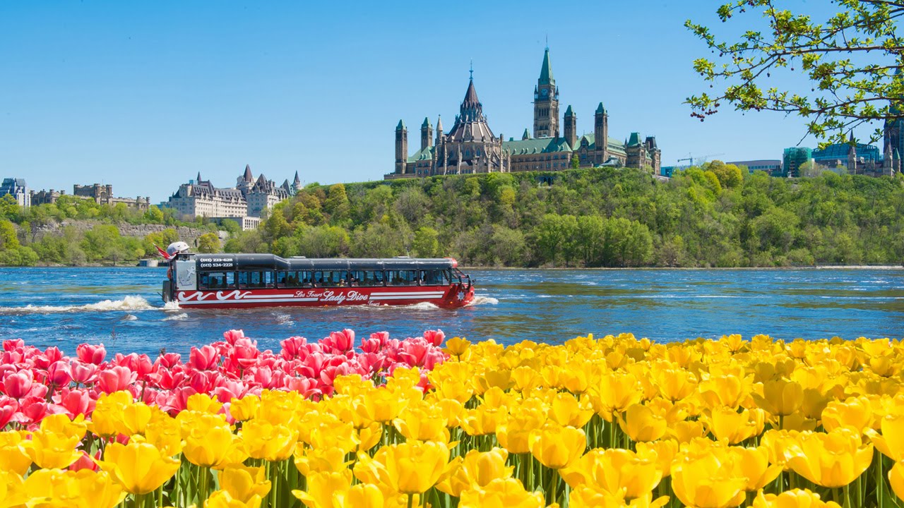 MACLAREN CORLETT LLP | Ottawa ON