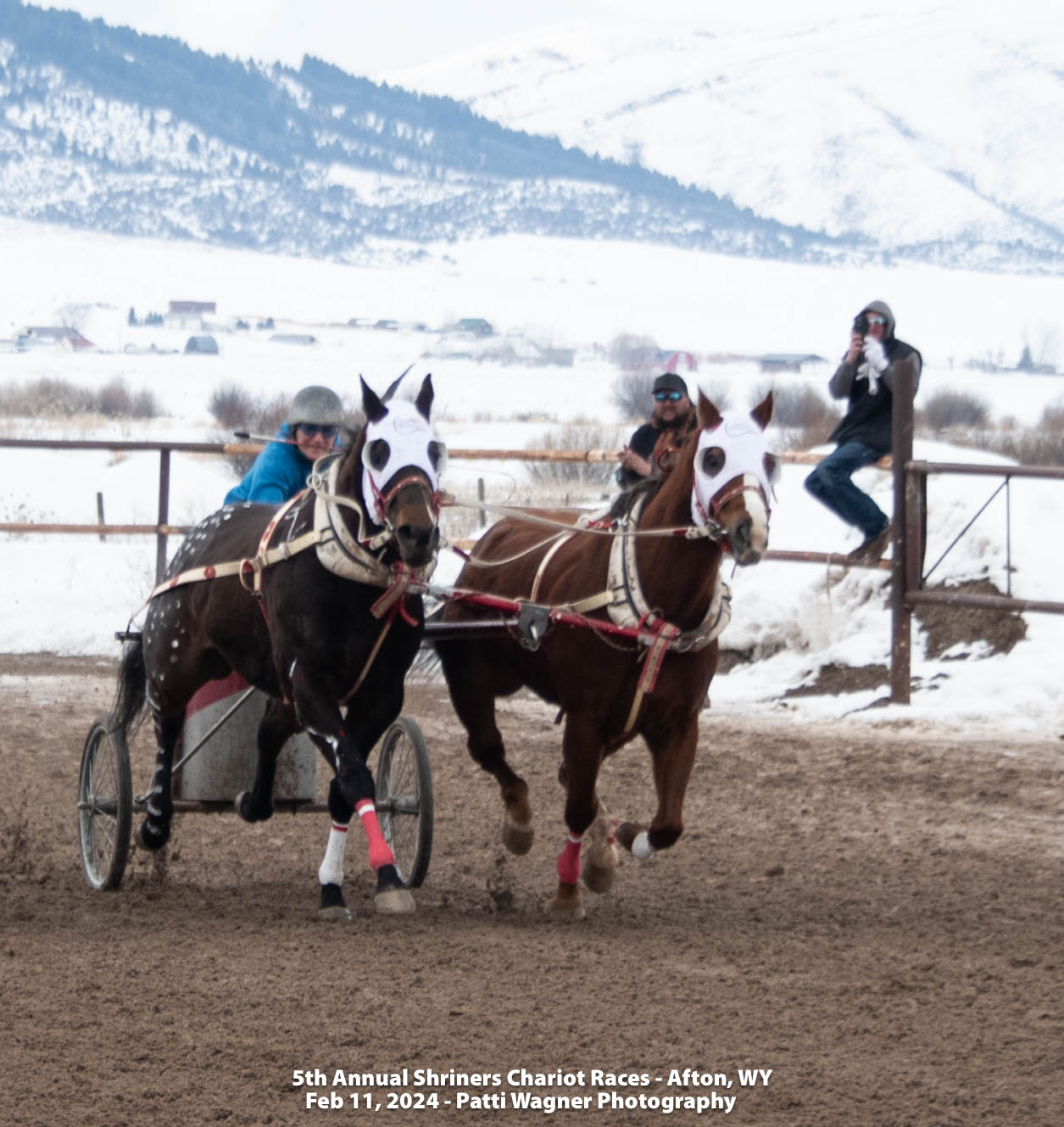 All American Cutter/Chariot Races - Afton, WY | Afton WY