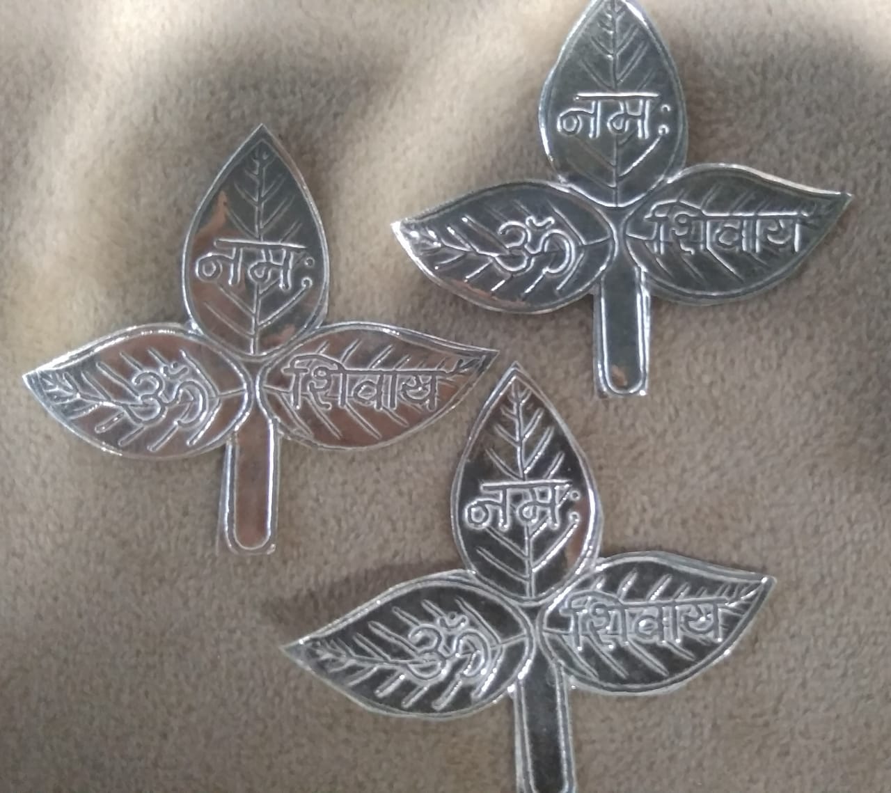 Posy Samriddh | Jaipur