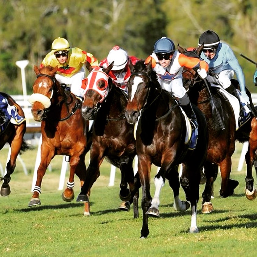 Equine - 🔷🔶🔷 Racing Partnerships🔷🔶 All important to our Physiotherapy ...