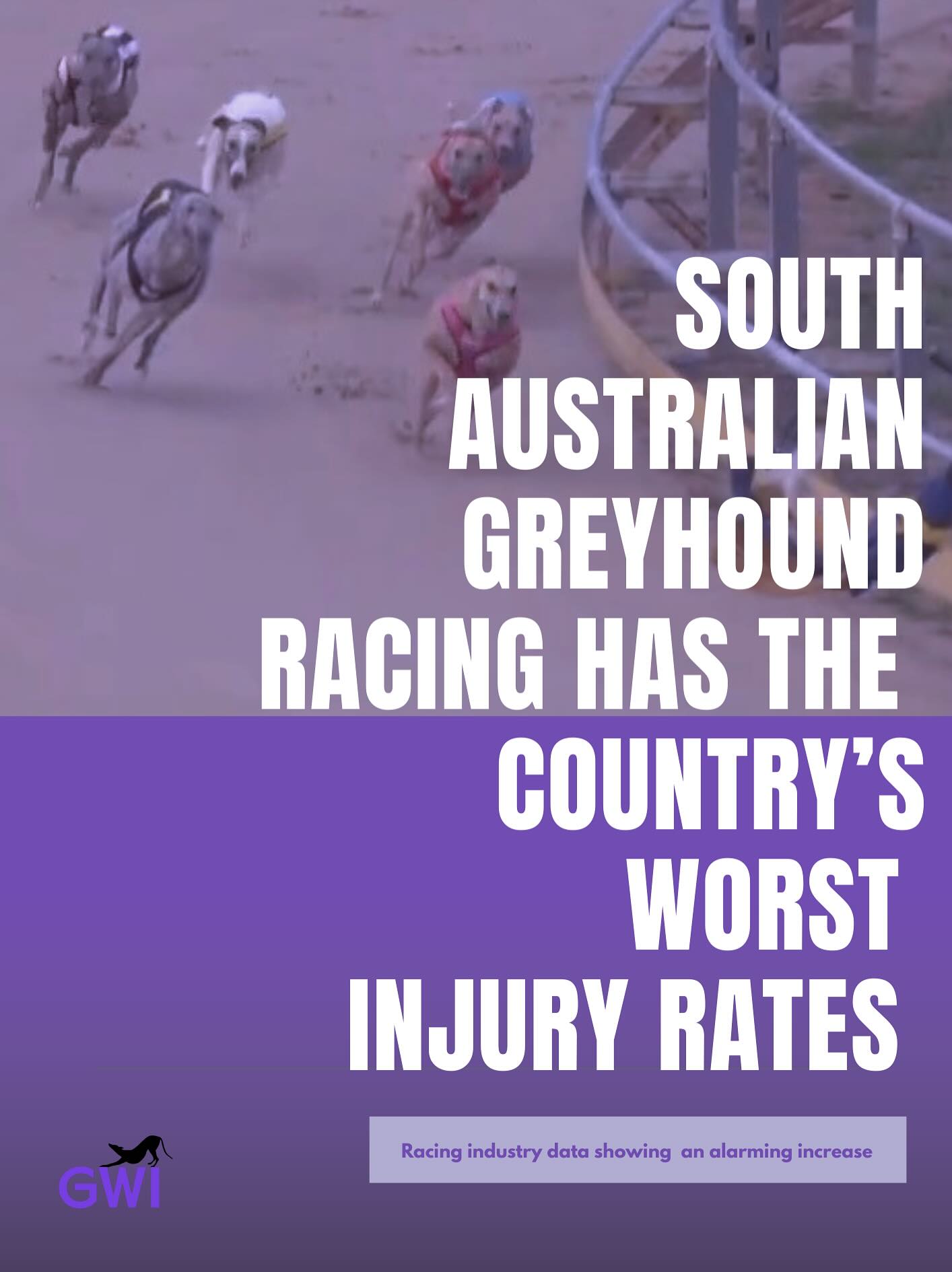 New data analysis reveals... - Greyhound Welfare Initiative | Facebook