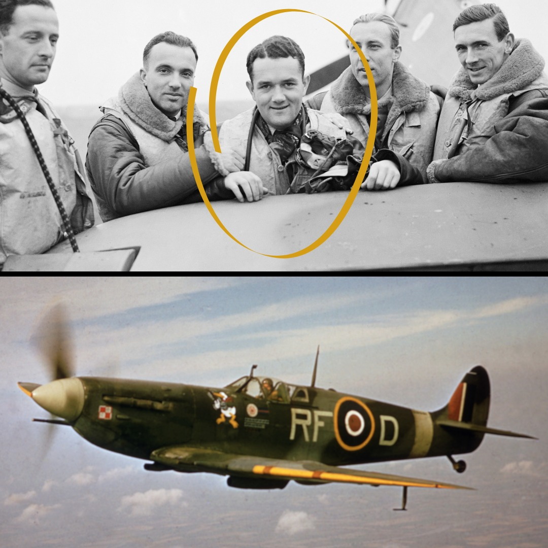Warbird - A Supermarine Spitfire Mk.Vb, RF-D, flown by pilot Jan ...