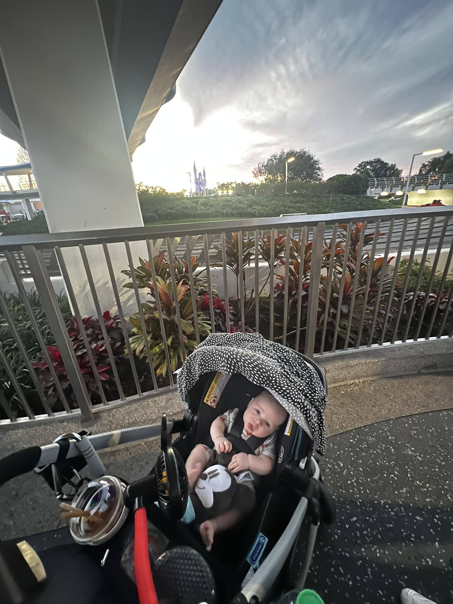next generation car seat stroller Nuna DEMI + Rider Board Caviar mcdonalds Pack up and go PENN REELS 50 SW Line: Size 354 Okuma Coldwater A Low Profile Linecounter (Line Type):P-Line CX Premium (Moss)