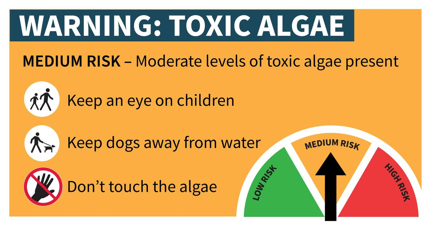 TOXIC ALGAE WARNING at the following... - Greater Wellington