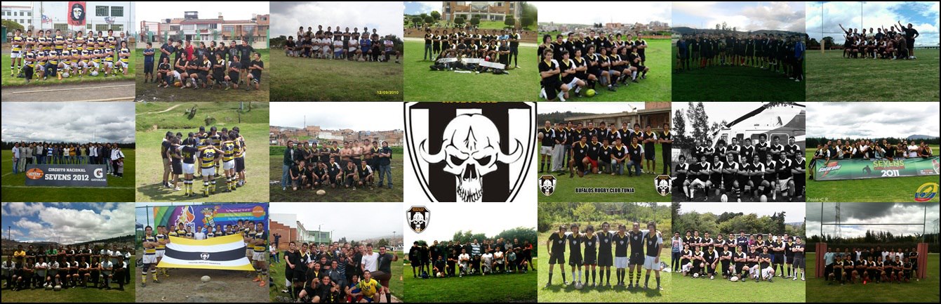 Animals Rugby Club added a new photo. - Animals Rugby Club