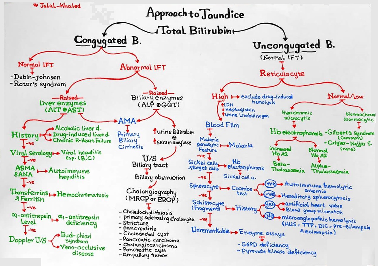 Manual of Medicine - Approach to Jaundice #jaundice #gatroenterology ...