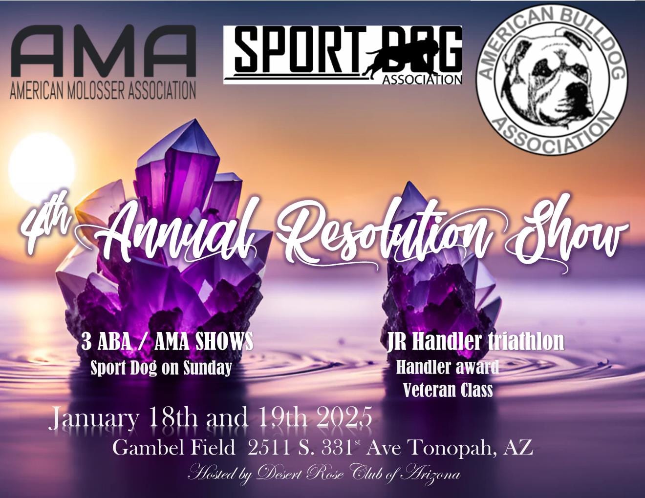 4th Annual Resolution Show