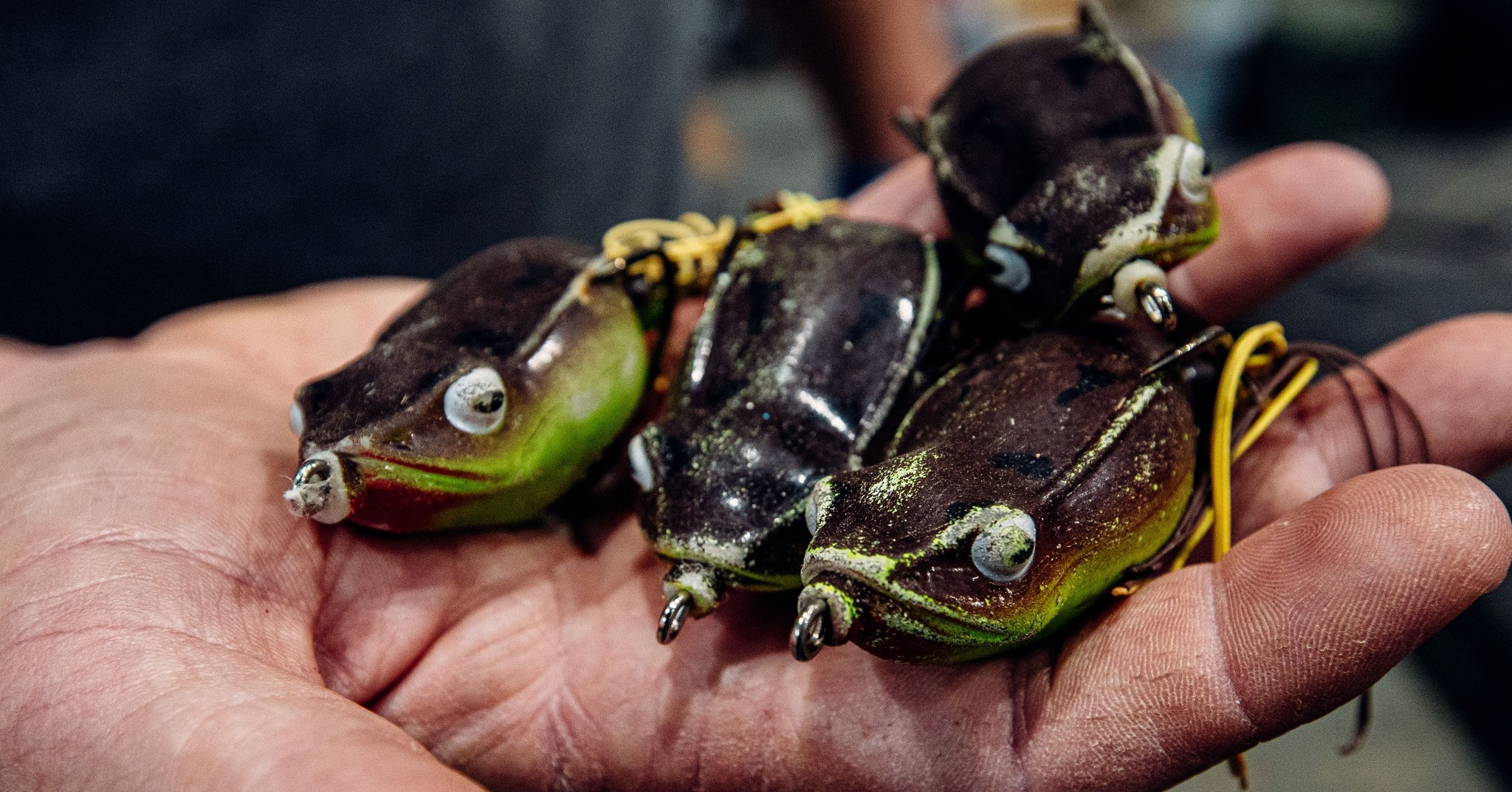 bama frogs bass fishing lures Savage Gear Hard Shrimp featuring lifelike 3D frog skin and aggressive action to entice even pressured fish Incredi Frog