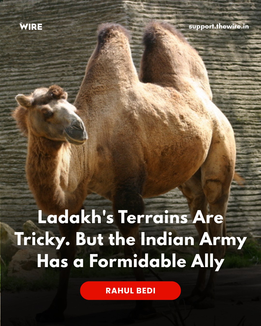 TheWire.in - The Indian Army (IA) has formally inducted twin-humped ...