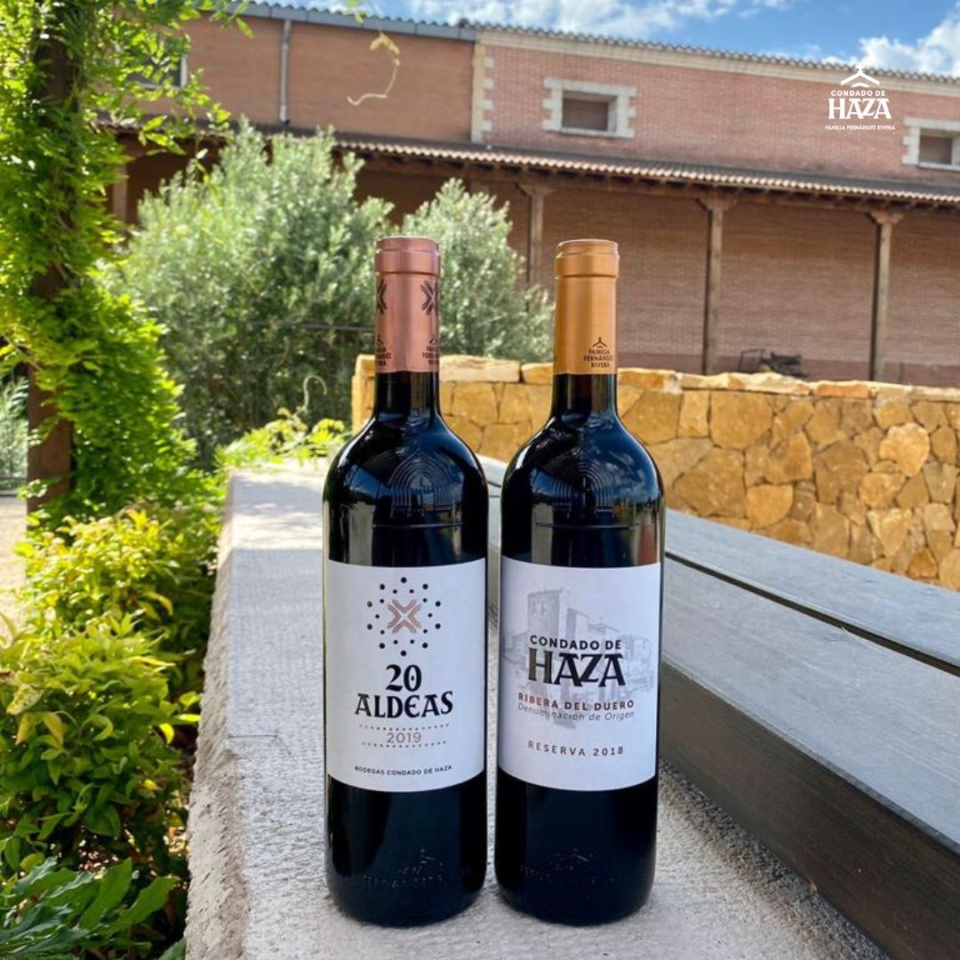 bodegas-condado-de-haza-burgos