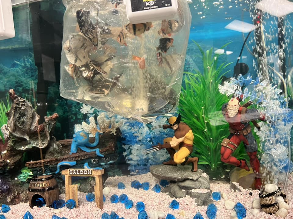 batman fish tank accessories Light Kit for LEGO Tropical Aquarium 10366 – Bring the Ocean to Life – Briksmax Arrange each feature for the perfect look and display your creation in the home or workplace for all to enjoy.This home decor aquarium comes with fun functions Loved that the Batcave entrance