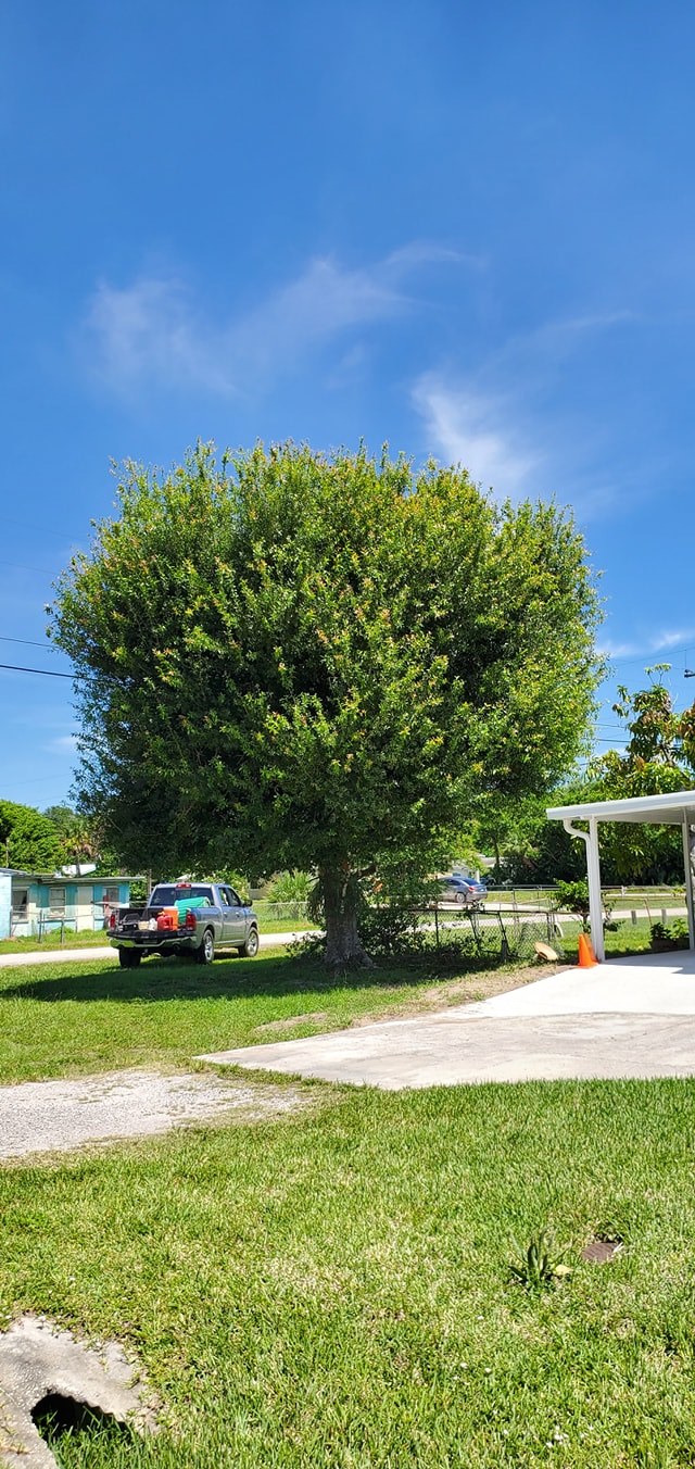 Pinnacle Lawn & Tree Service Inc