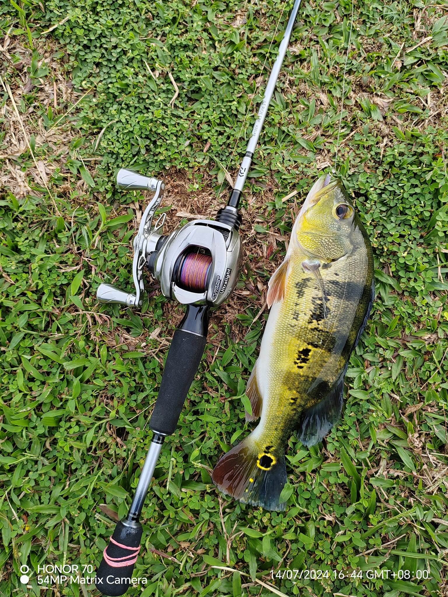 cedar run fishing lures Plug Lures, Rigged, Tuna Fishing, 6-Pack, 6 inches, Multi-Color fish out of the Color:Natural Blue Pumpkinseed new zealand wool rugs Daiwa Accudepth LC Line