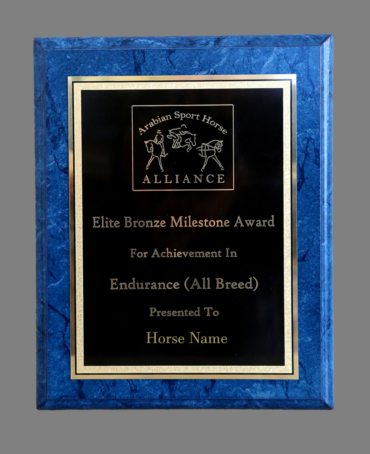 Arabian Sport Horse Alliance, Inc. | Camden SC