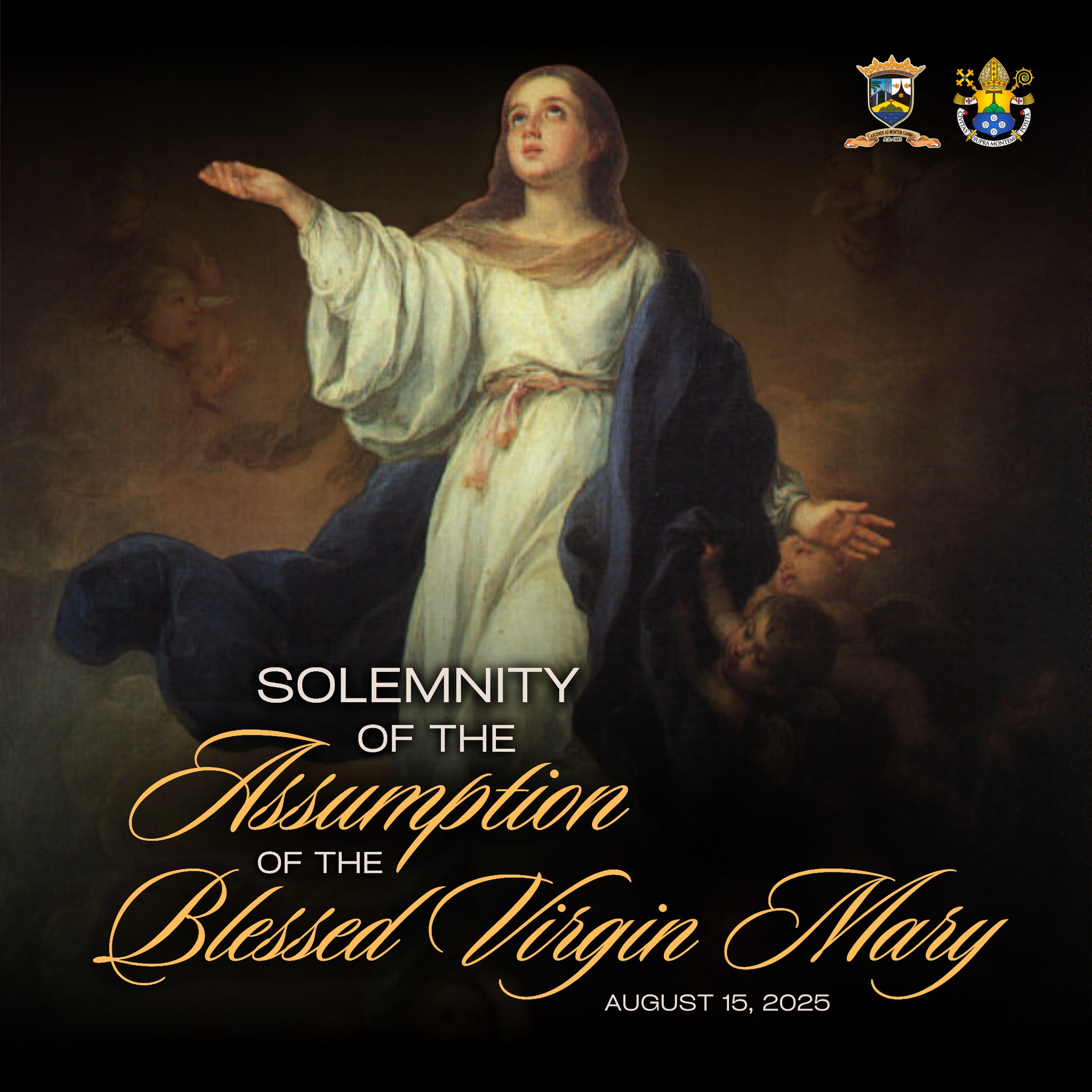 OLMCP - Today, we celebrate the Solemnity of the Assumption of the ...